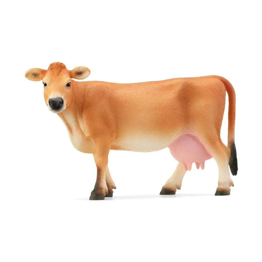 Jersey ko