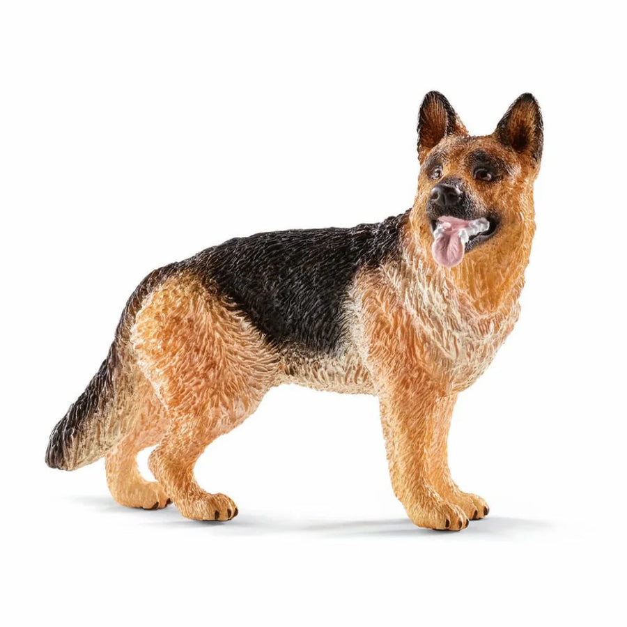 Schæferhund