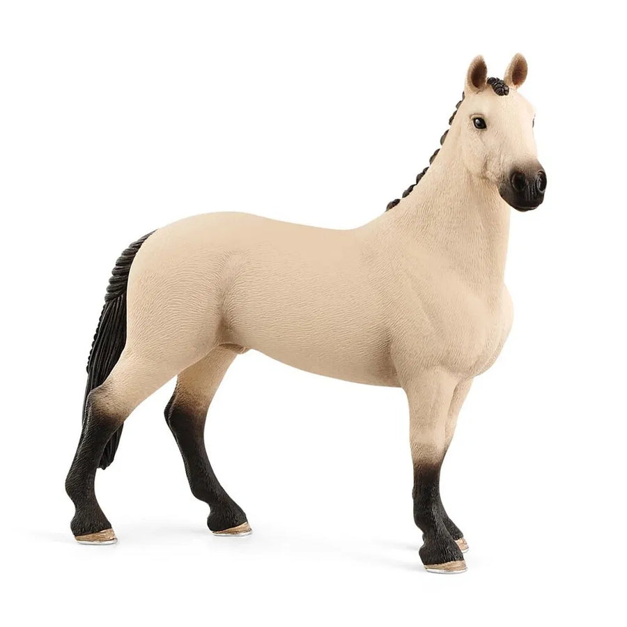 Hannoveranerhingst