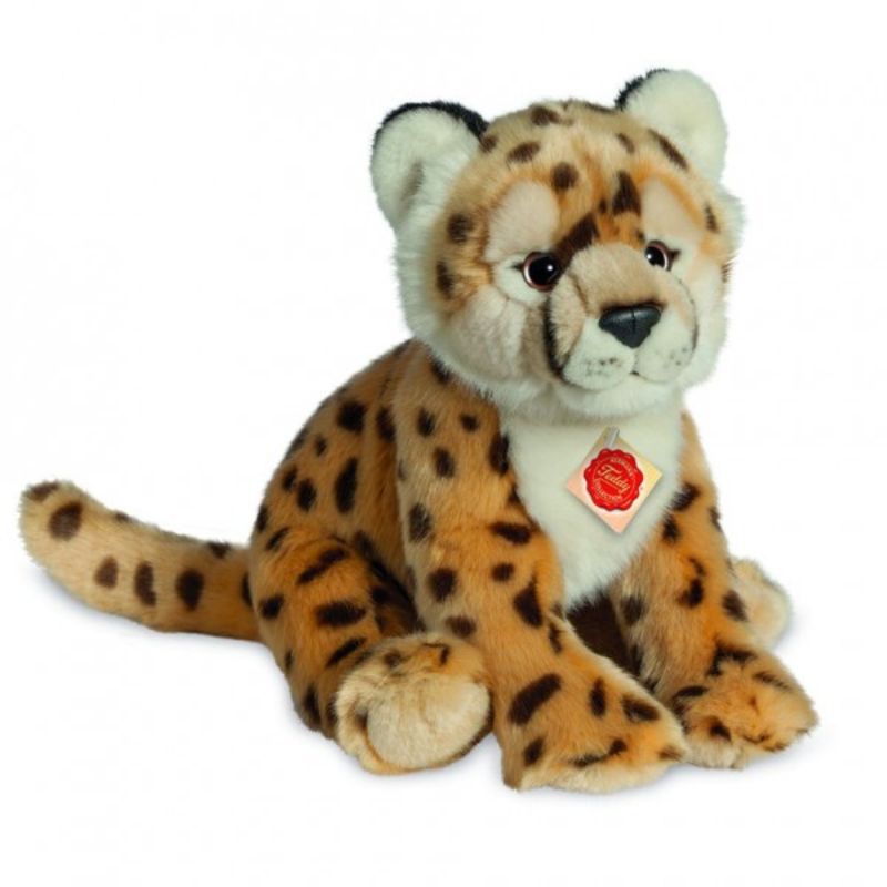 Bamse gepard