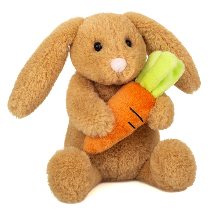 Bamse kanin med gulerod