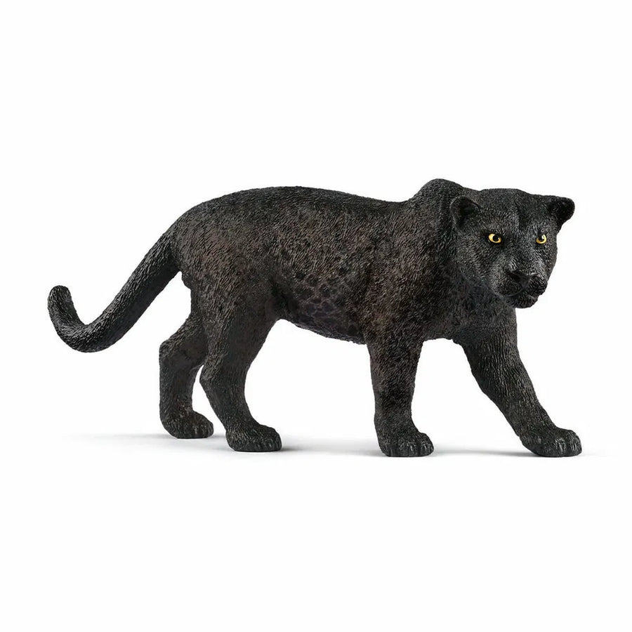 Sort panter