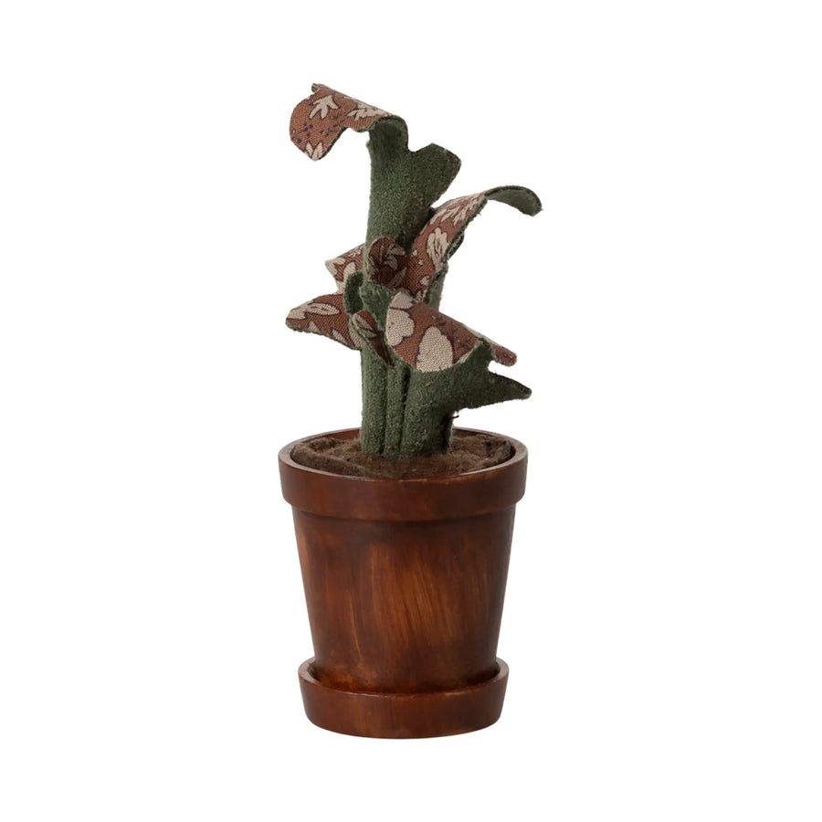 Plante i krukke