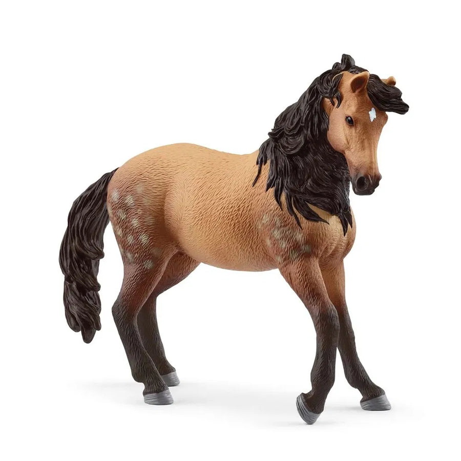 Andalusisk mare