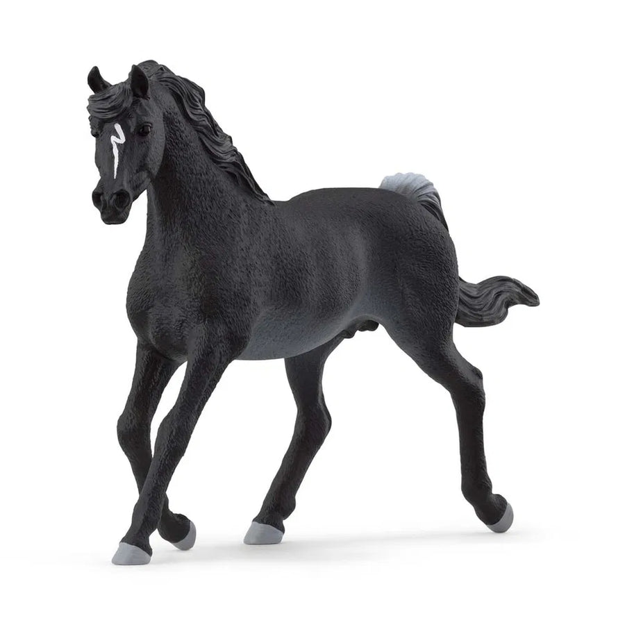 Araberhingst