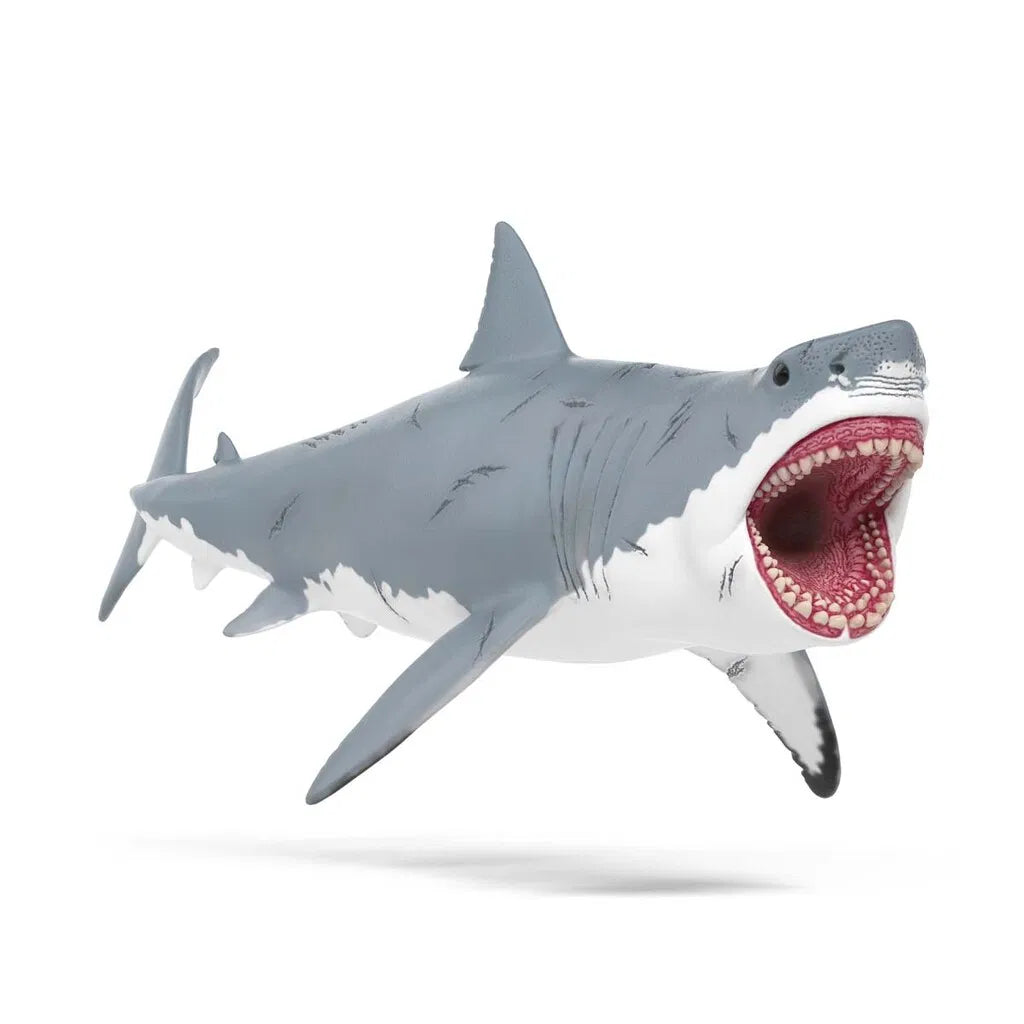 Megalodon haj