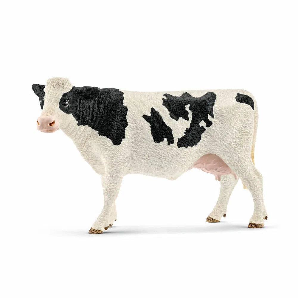 Holstein ko