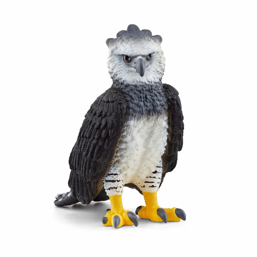 Harpy ørn