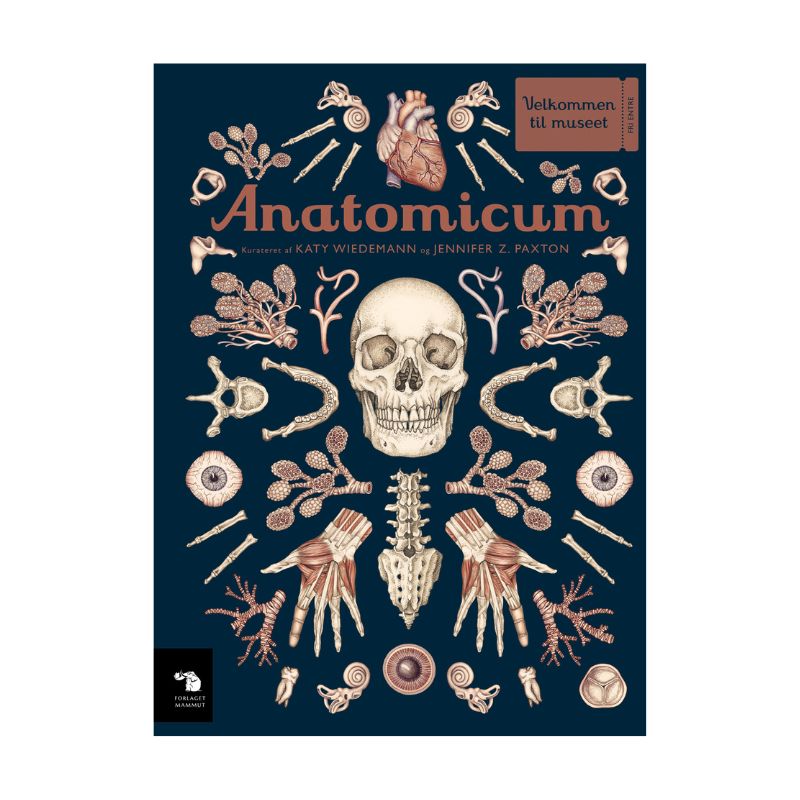 Anatomicum