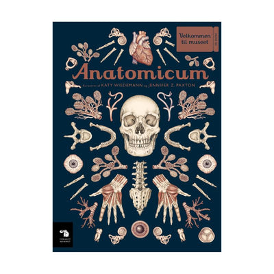 Anatomicum