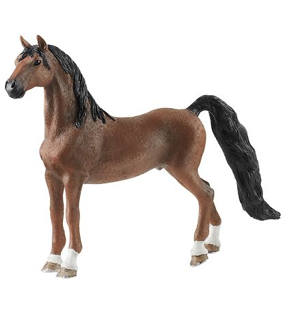 Saddlebred vallak