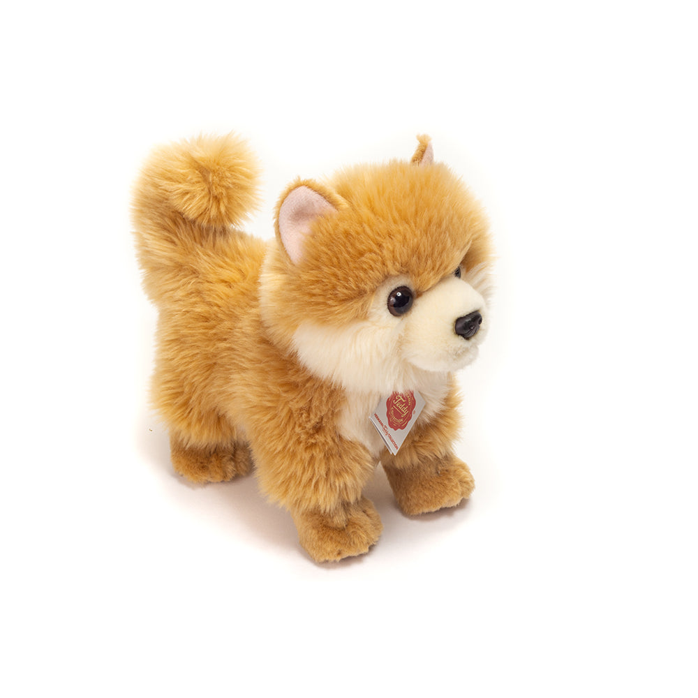 Bamse spidshund