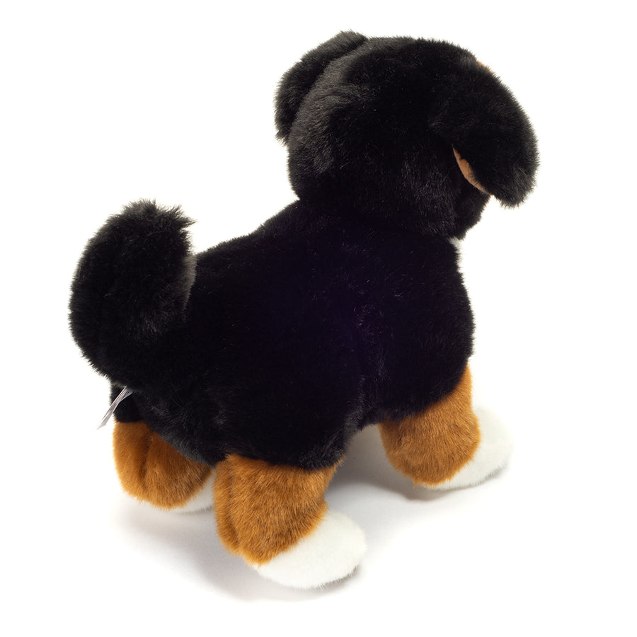 Bamse Berner sennen hund stående