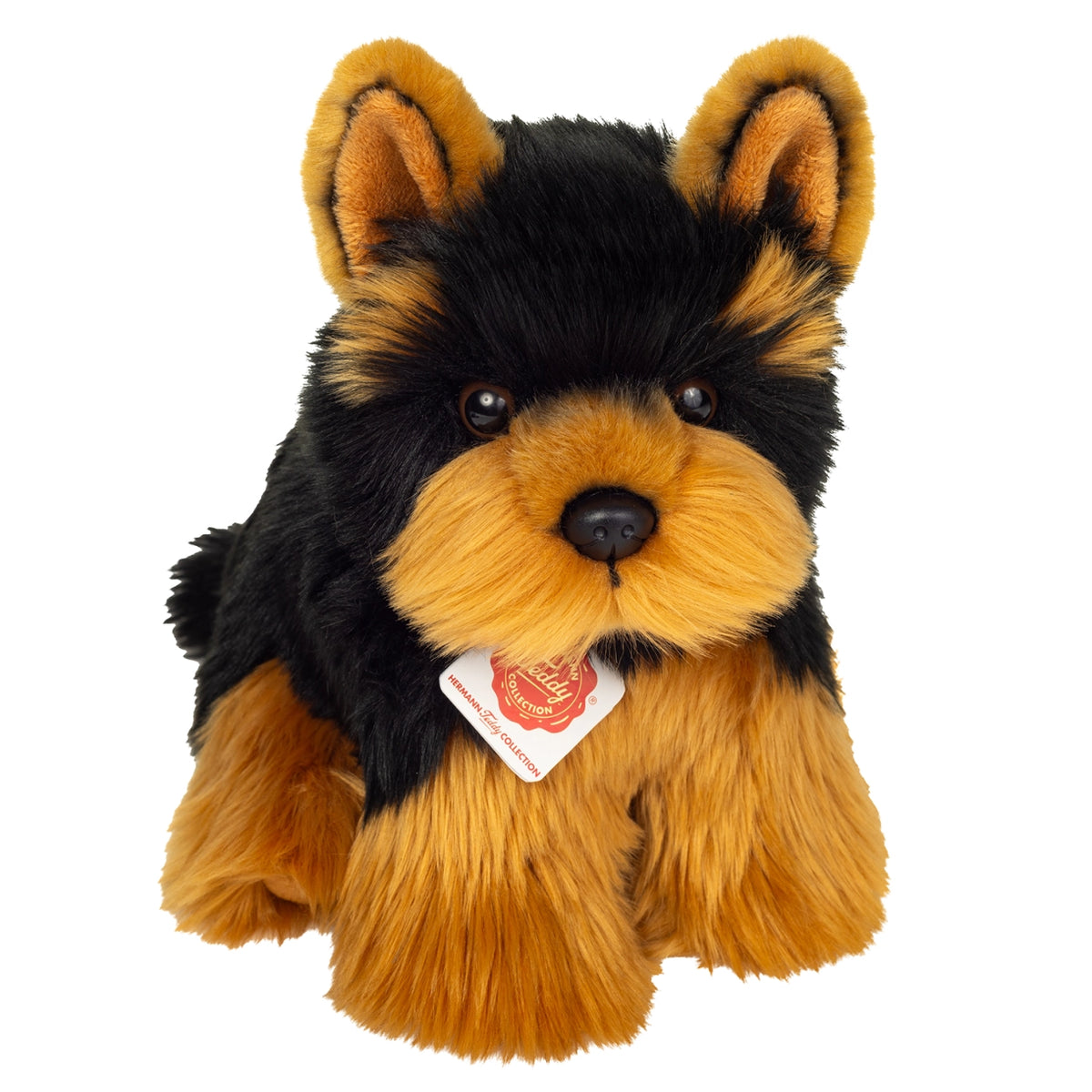 Bamse Yorkshire Terrier