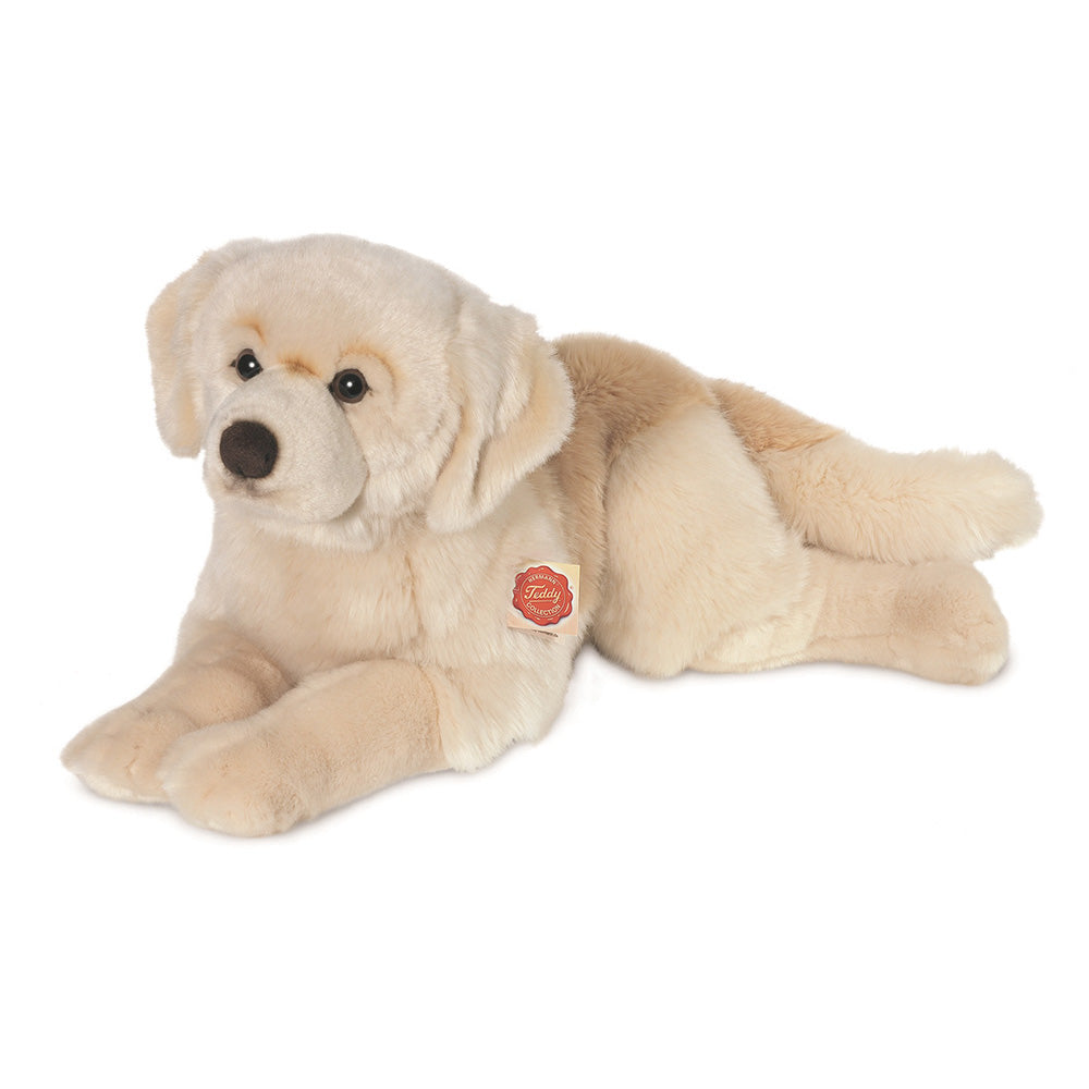Bamse Golden retriever