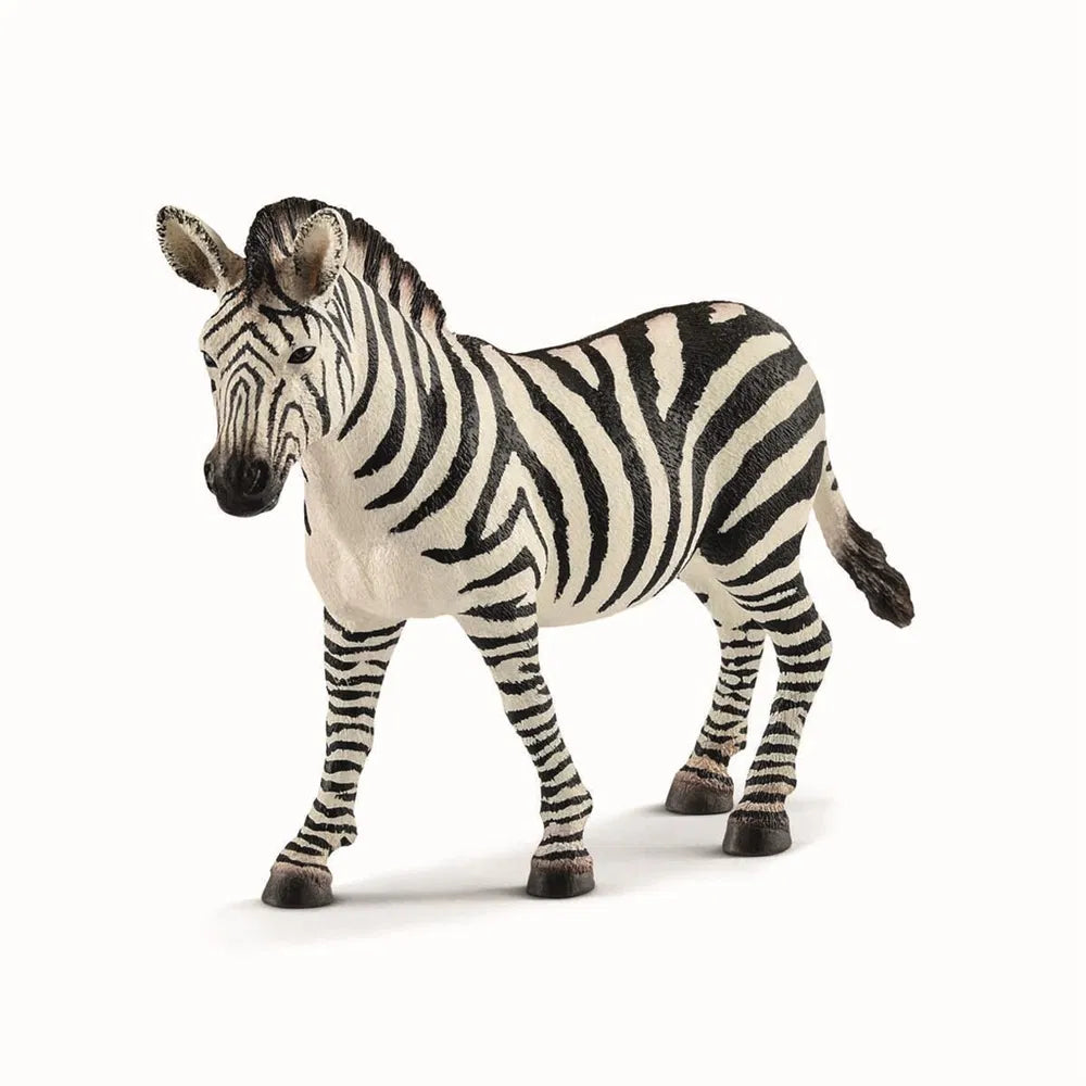 Zebra hun