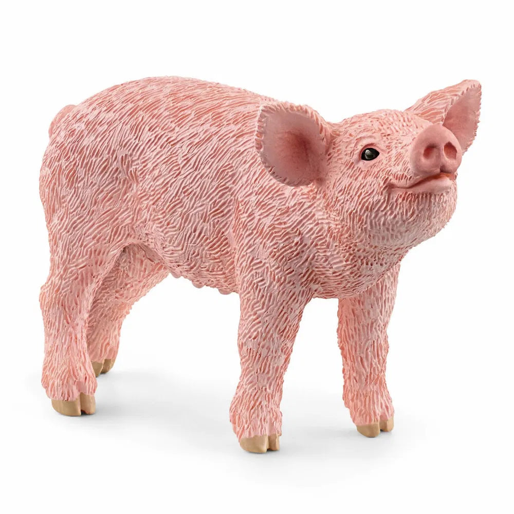 Griseunge