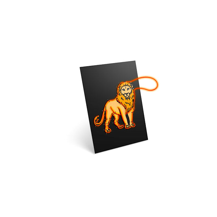 Kidyneon 3 Pak sæt - Animals