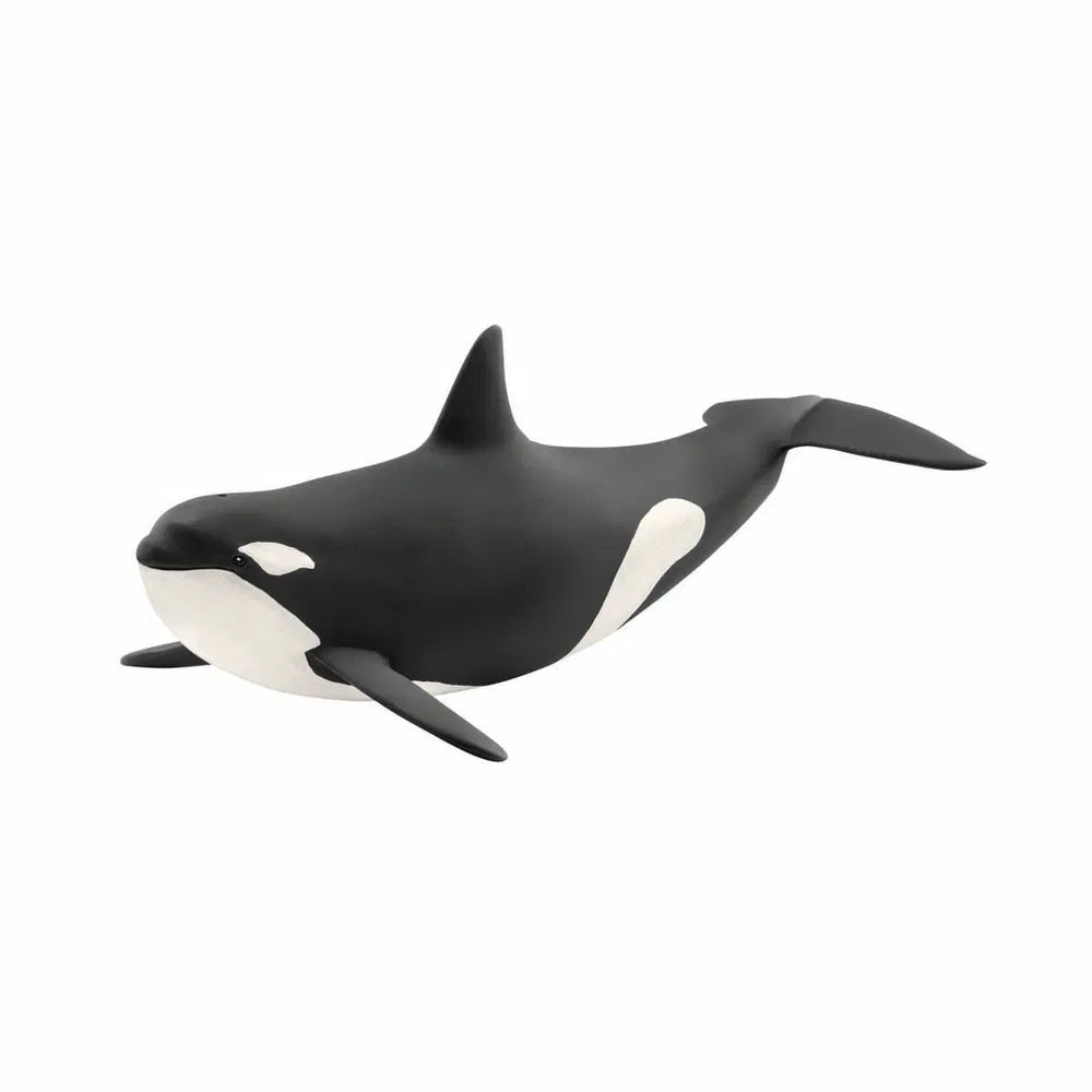 Spækhugger