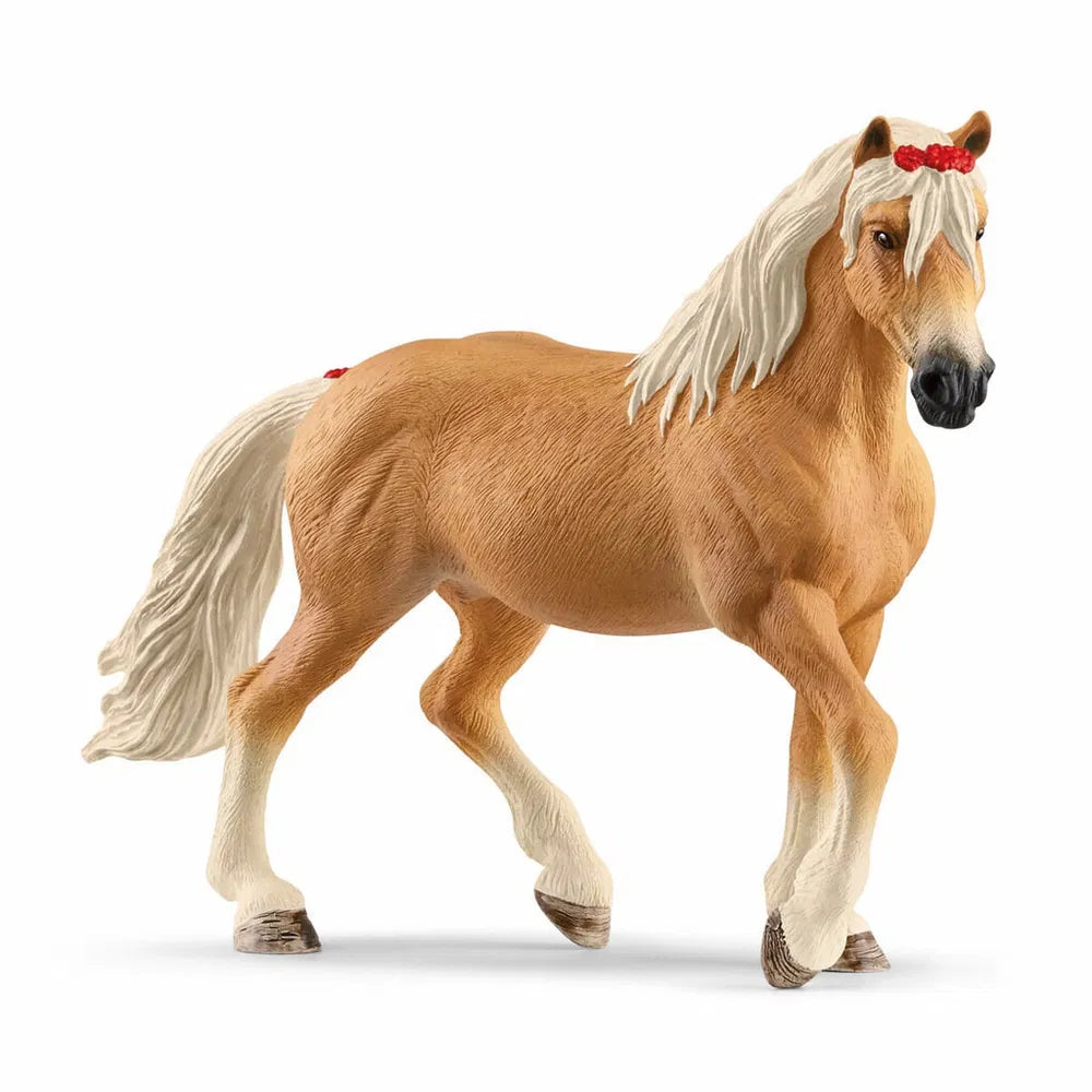 Haflinger mare